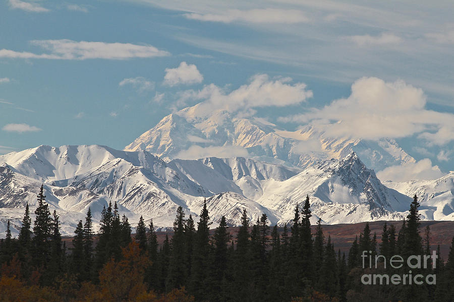 Denali in Broad Pass Photograph by Donna Quante