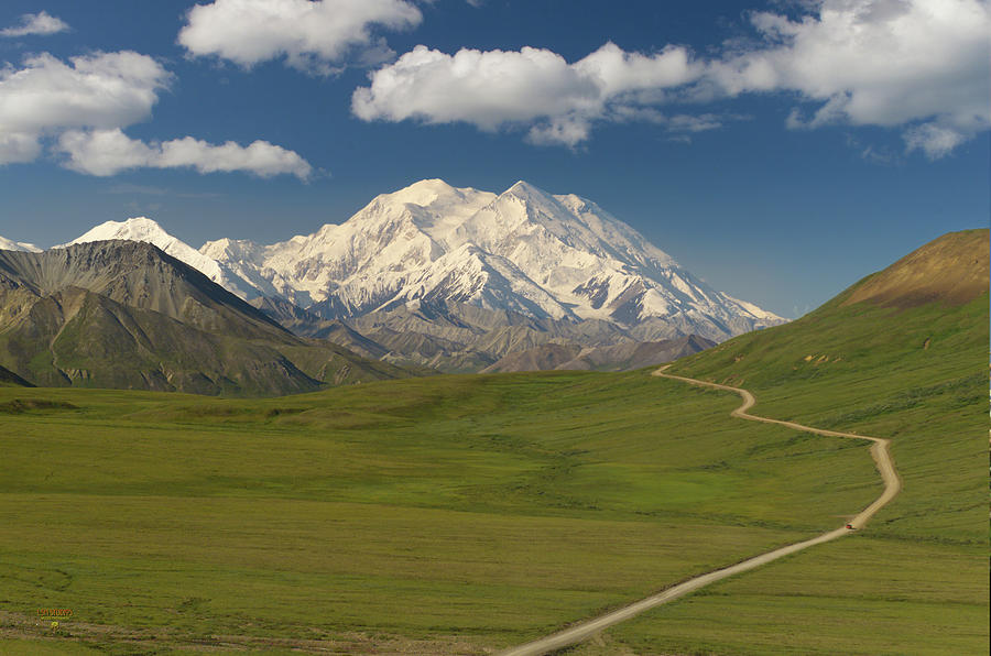 Denali - Mt. McKinley - Alaska Photograph by Steve Ellison