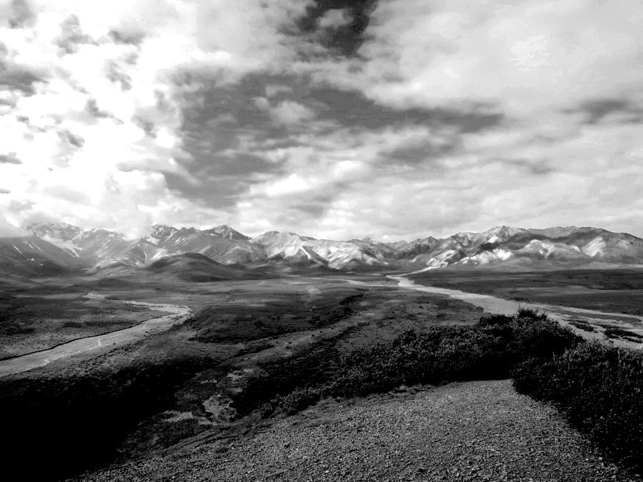 Alaska Photograph - Denali National Park 4 by Dick Goodman Alaska Photograph - Denali National Park 4 by Dick Goodman