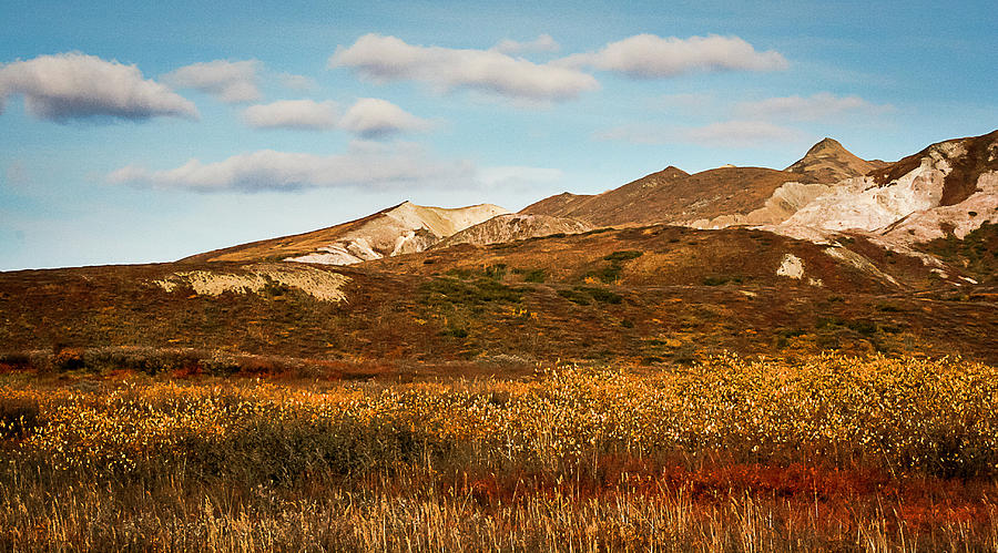 Denali National Park Photograph by Benjamin Dahl