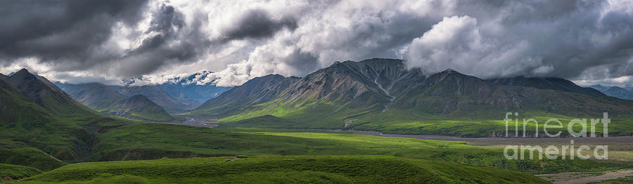 Denali National Park Pano  Photograph by Michael Ver Sprill
