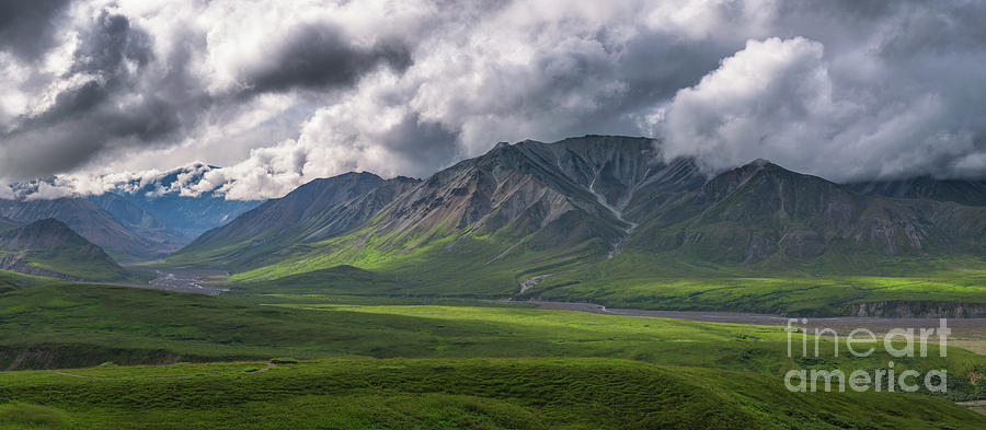 Denali National Park Panorama Photograph by Michael Ver Sprill