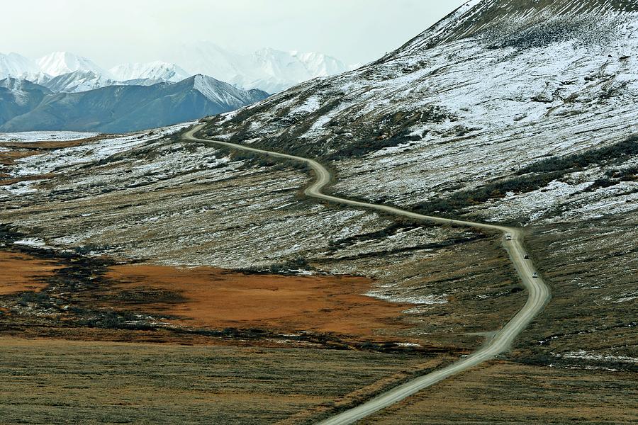 Denali Road 3 Photograph by Marty Koch