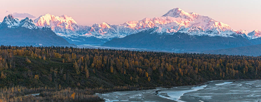 Denali Sunrise Alpenglow Digital Art by Daryll Vispo - Fine Art America