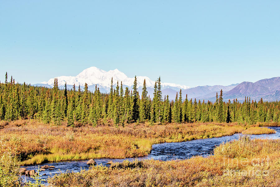 Denali, view from the North Photograph by Randy Jackson
