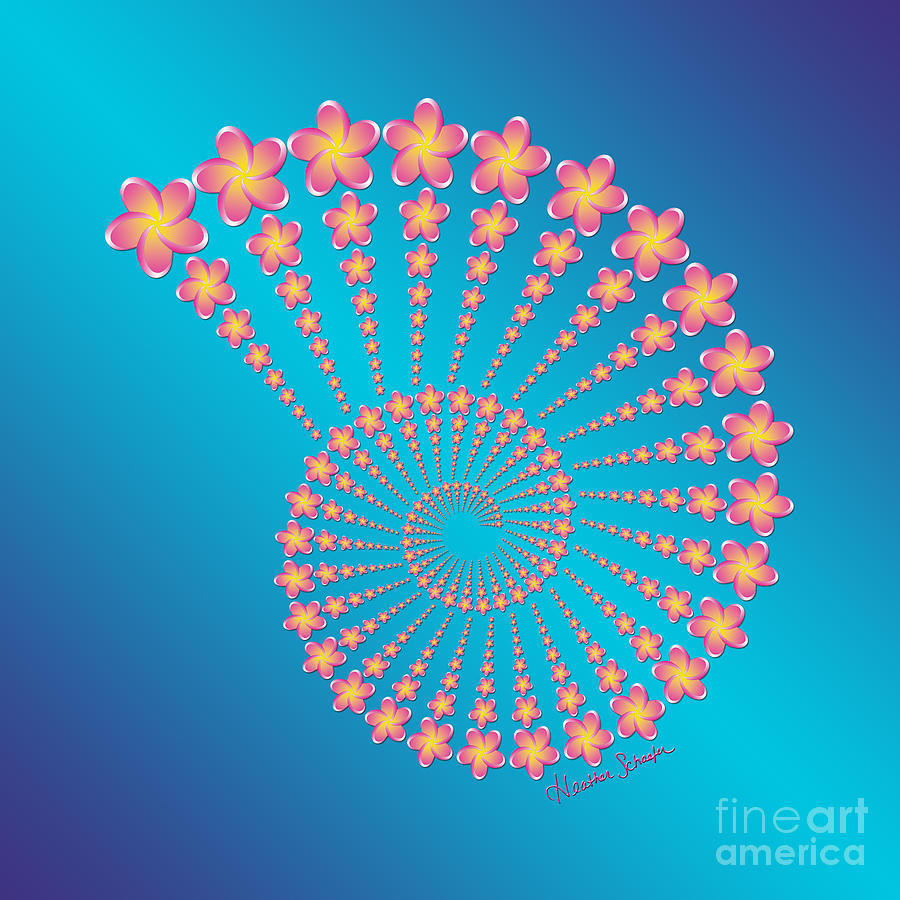 Denises Frangipani  Spiral Shell Digital Art by Heather Schaefer