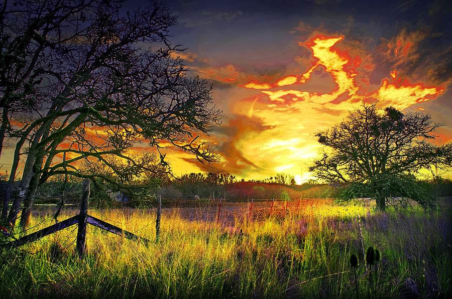 Sunset Photograph - Denman Sunset Fence by Dale E Daniel Landscape Photography