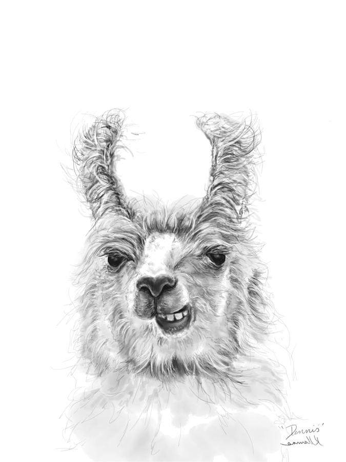 Llama Drawing - Dennis by Kristin Llamas