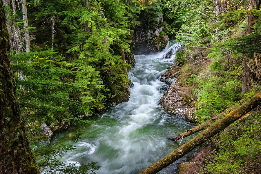 Denny Creek Photograph by William Zayas Cruz