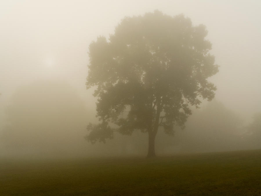 Dense Fog Photograph by Andrew Kazmierski - Pixels