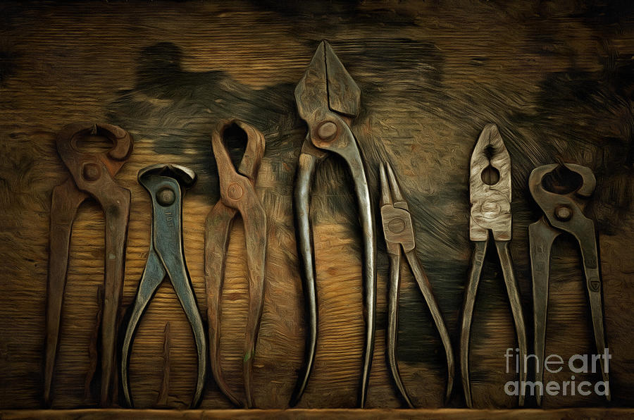 Dental forceps - various old pliers Photograph by Michal Boubin