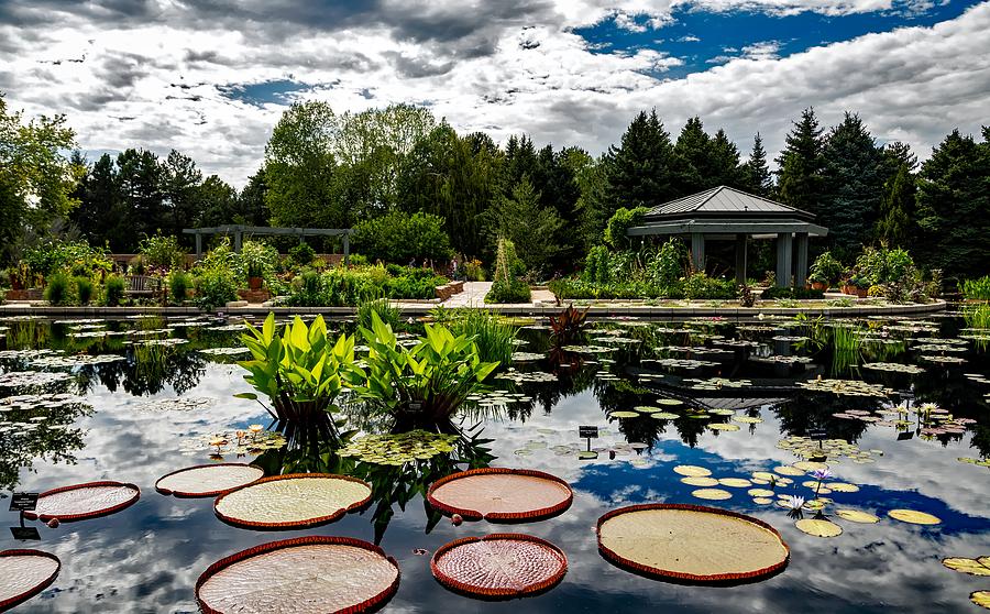 Denver Botanic Gardens Photograph by Mountain Dreams - Fine Art America