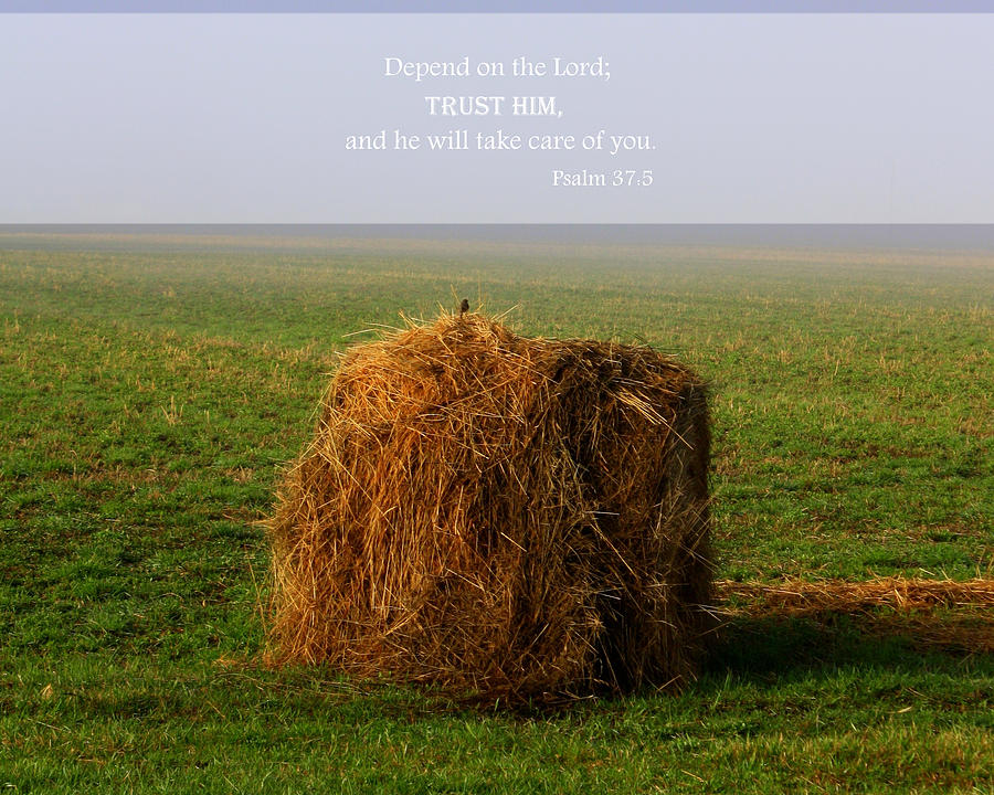 Depend on the Lord Photograph by Inspired Arts