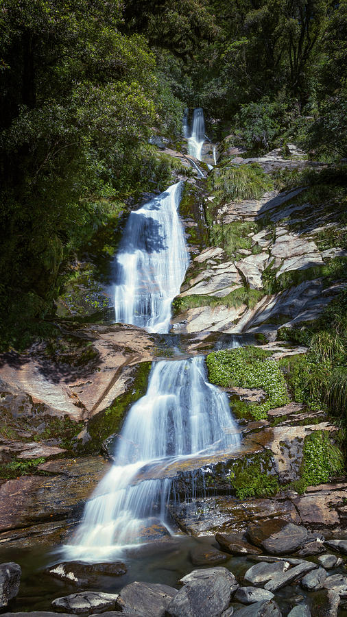 Waterfall Photograph - Depot Creek Falls New Zealand by Joan Carroll