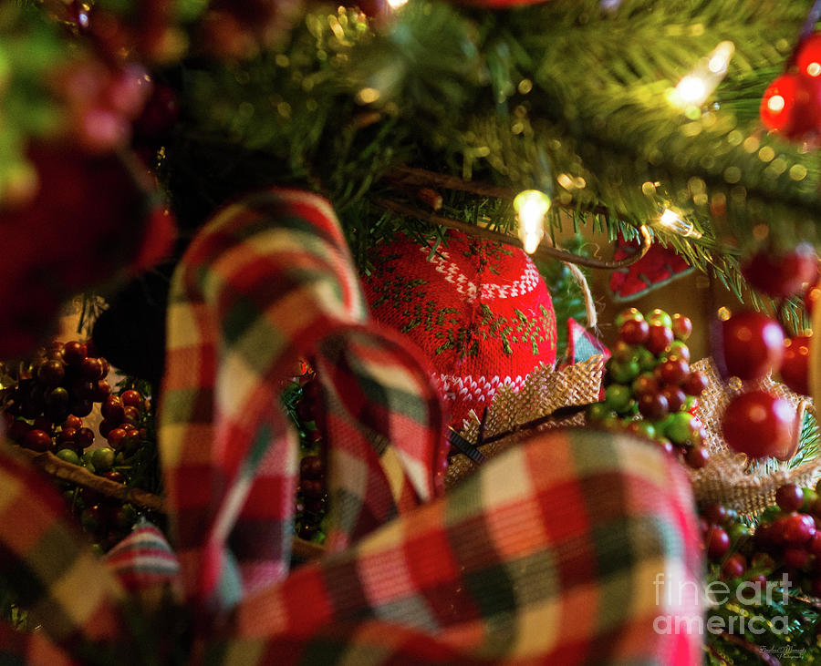 Depth Of A Christmas Tree Photograph by Jennifer White