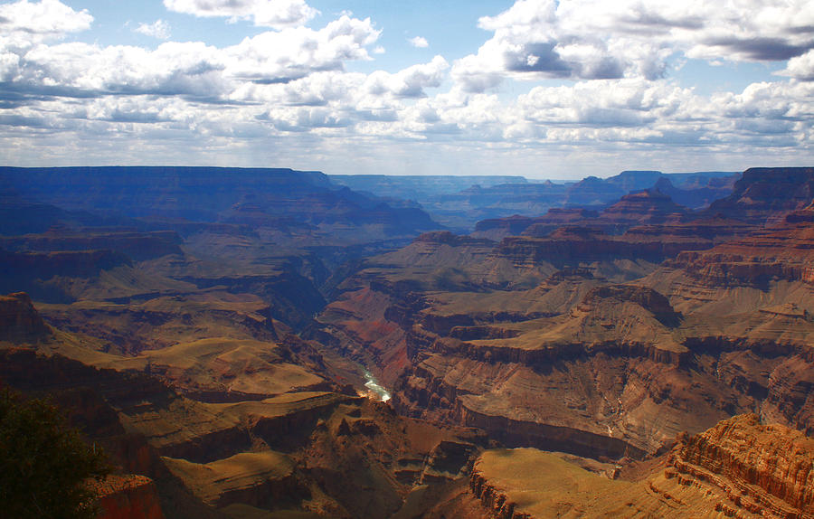 Depths of the Grand Canyon Photograph by Ola Allen