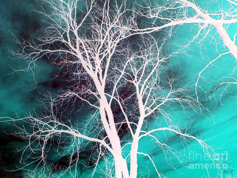 Der Baum 17082 Digital Art