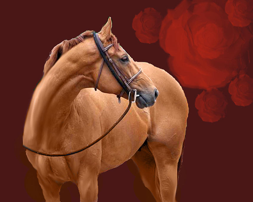 Thoroughbred Painting - Derby Cousin by Kim Thoroughbred Painting - Derby Cousin by Kim