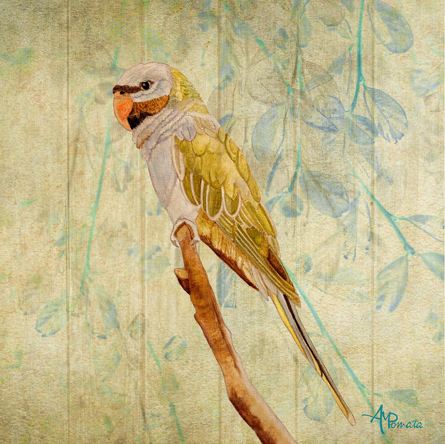 Parakeet Painting - Derbyan Parakeet I by Angeles M Pomata