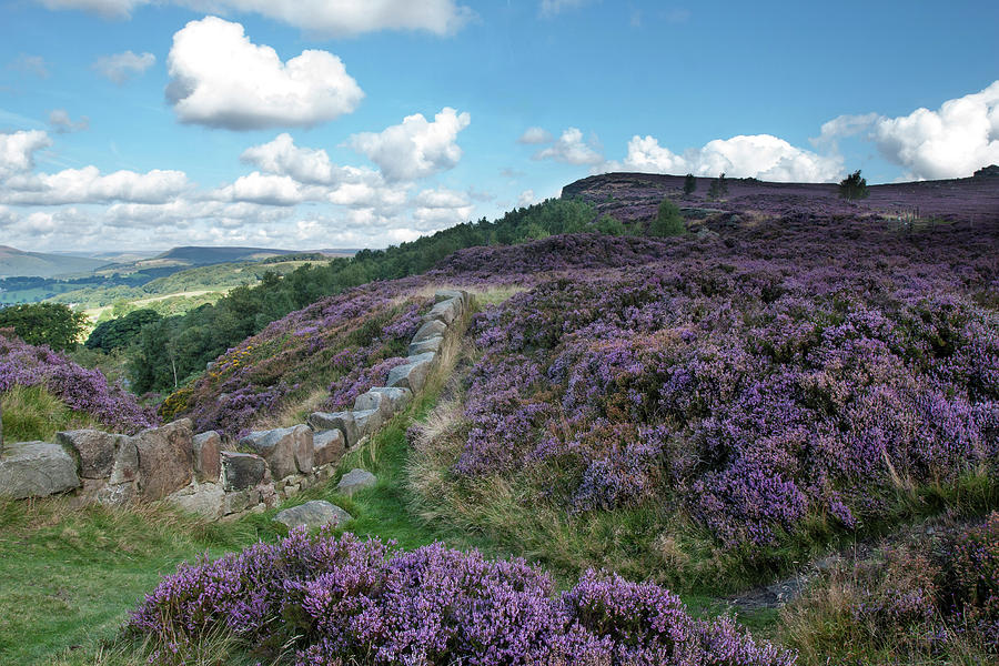 Derbyshire Moors Photograph by Ceri Jones | Pixels