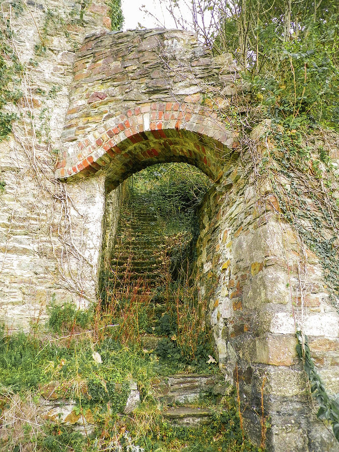 Derelict Arch and Steps At Abandoned New Quay Tamar Valley Photograph by Richard Brookes