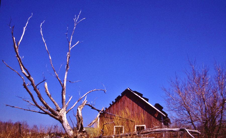 Derelict Barn And Dead Tree Minnesota Photograph By Rory Cubel