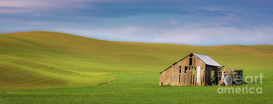 Derelict Barn in the Palouse Photograph by Jerry Fornarotto