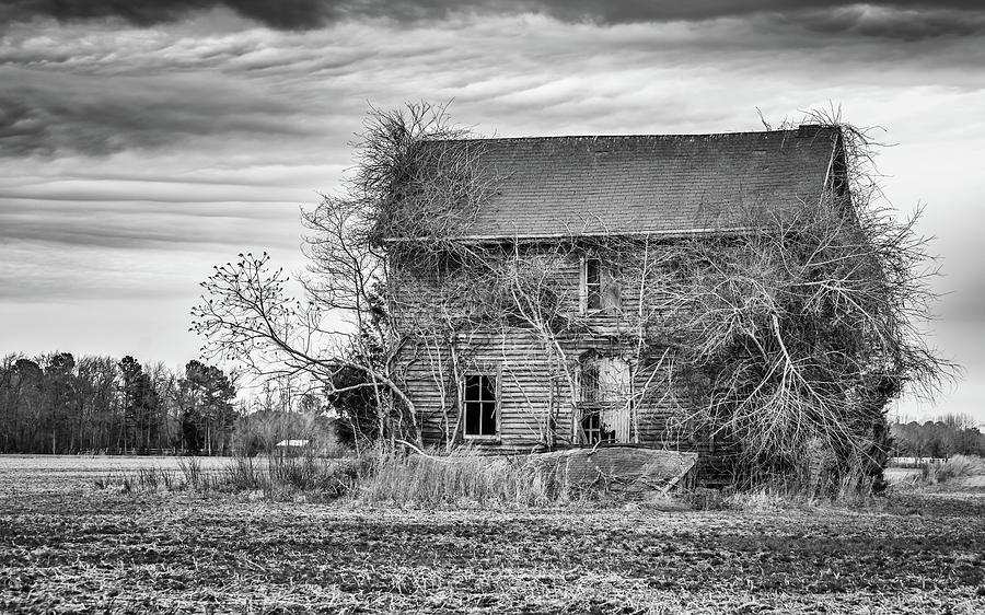 Derelict Farmhouse Photograph by Framing Places