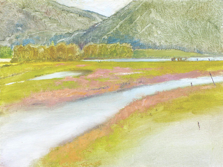 Derr Mountain Marshes Painting by Robert Bissett