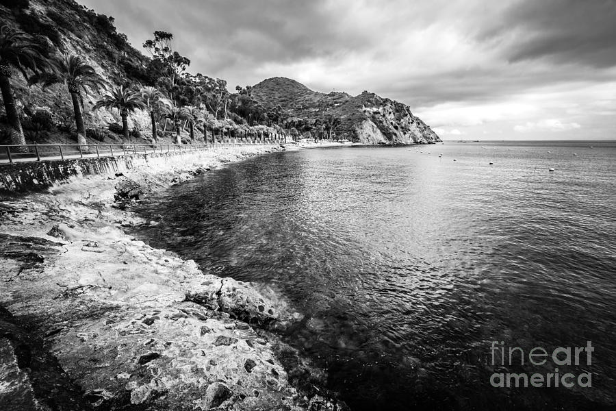 Descanso Bay Black and White Photo Photograph by Paul Velgos