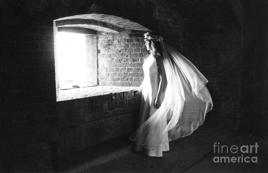 Descending Angel Photograph By Jennifer Miller Fine Art America