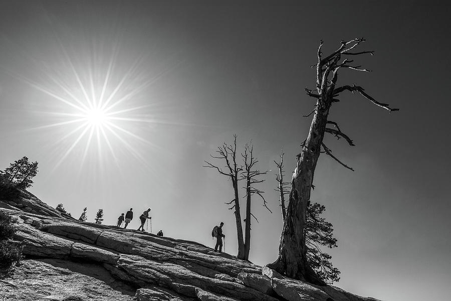 Descent from Sentinel Dome Photograph by Davorin Mance