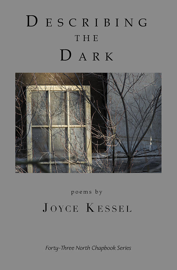 Describing the Dark book cover Photograph by Don Mitchell