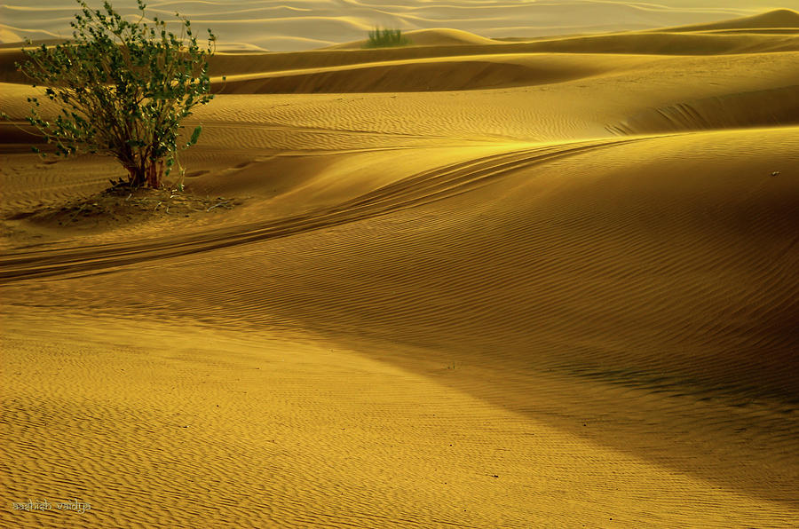 Desert Abstract Five Photograph by Aashish Vaidya