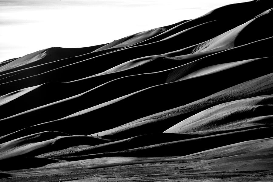 Desert Abstract Photograph by Mike Flynn