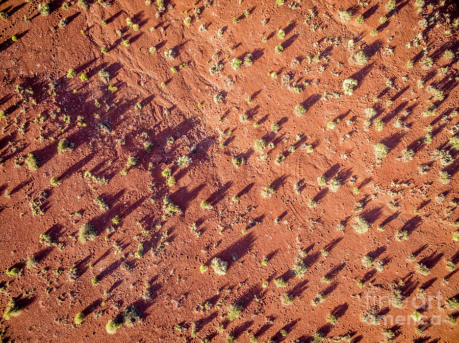 Desert Aerial View At Sunrise Photograph by Marek Uliasz