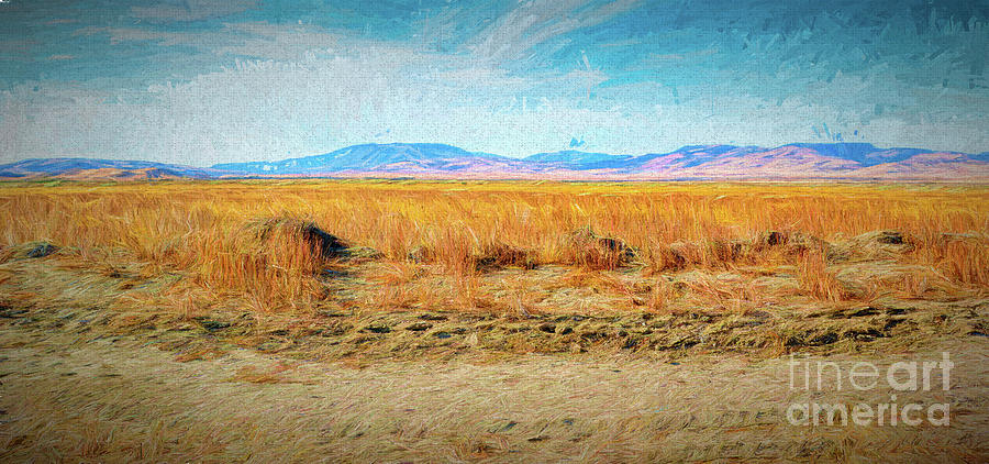 Desert Amber Waves Digital Art by Joe Lach