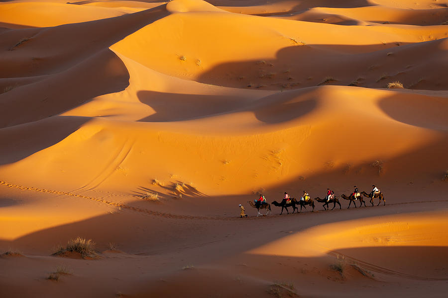 Desert and Caravan Photograph by Aivar Mikko