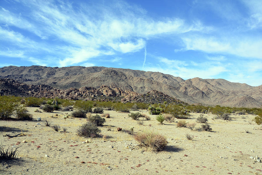 Desert and Mountains Photograph by Richard Hoffkins - Fine Art America