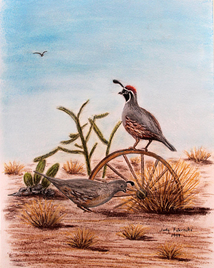 Desert Birds Painting - Desert Art Gambels Quail by Judy Filarecki