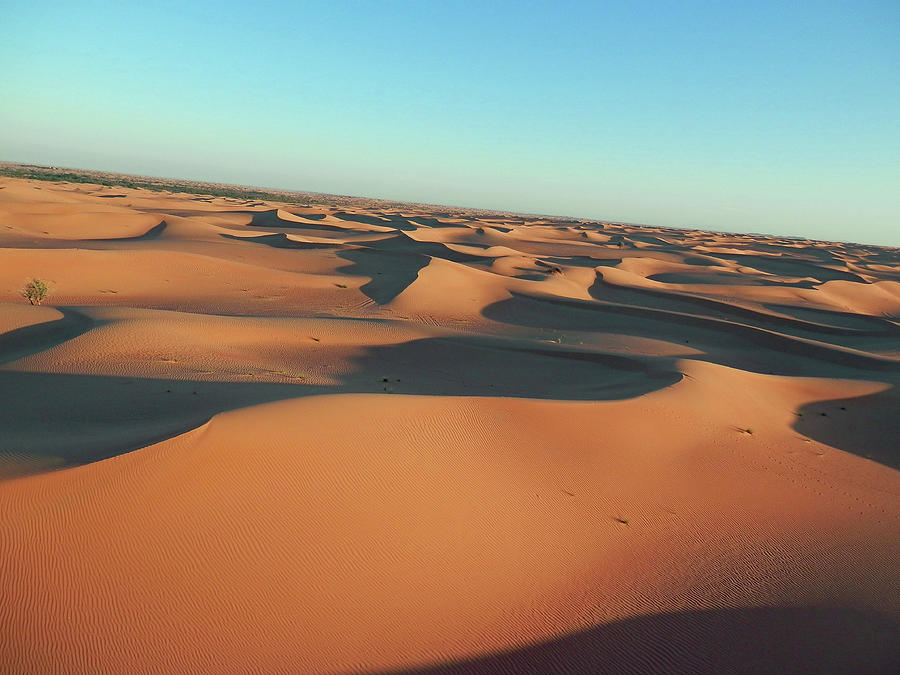 Desert Awakening 1 Photograph by Pema Hou