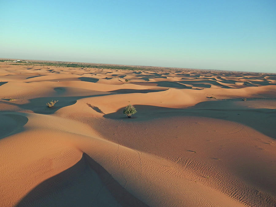 Desert Awakening 2 Photograph by Pema Hou