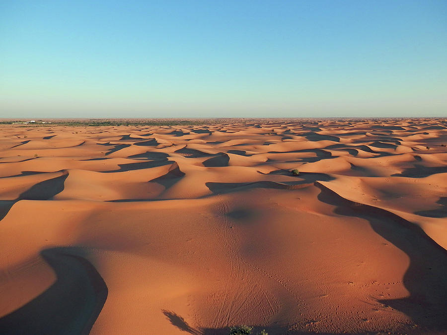 Desert Awakening Photograph by Pema Hou