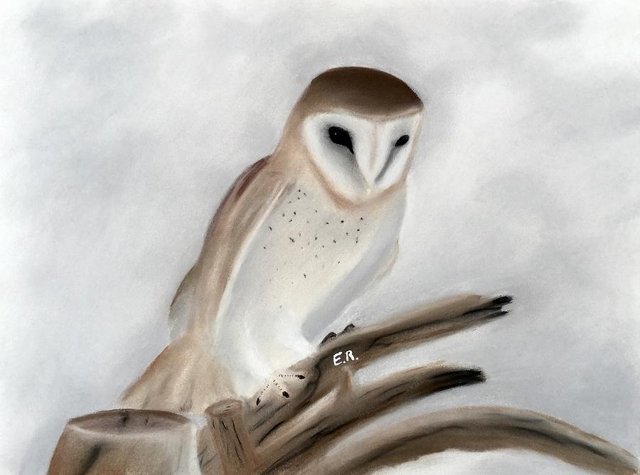 Owl Mixed Media - Desert Barn Owl by Eric Rosales