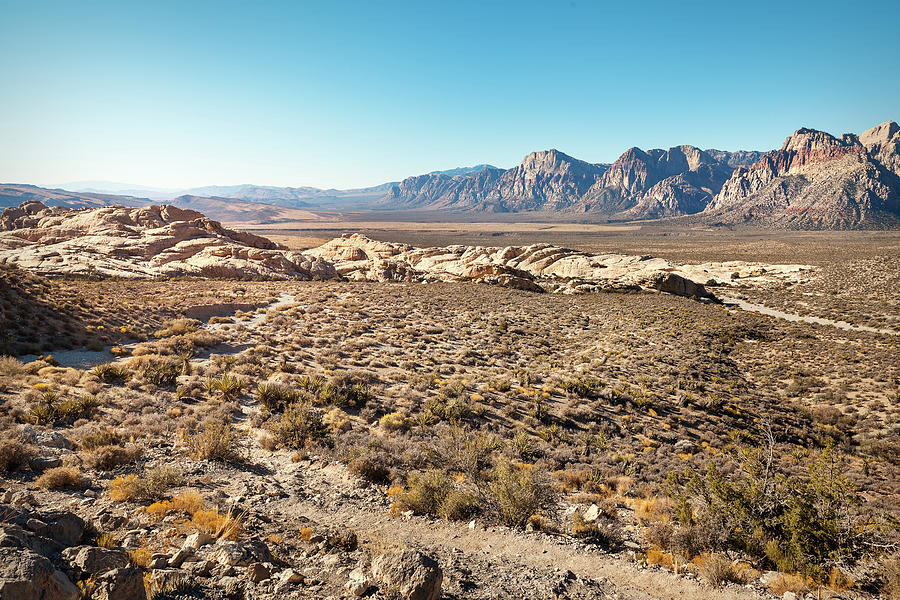 Desert before a Sunset Photograph by Evgeniya Lystsova - Fine Art America