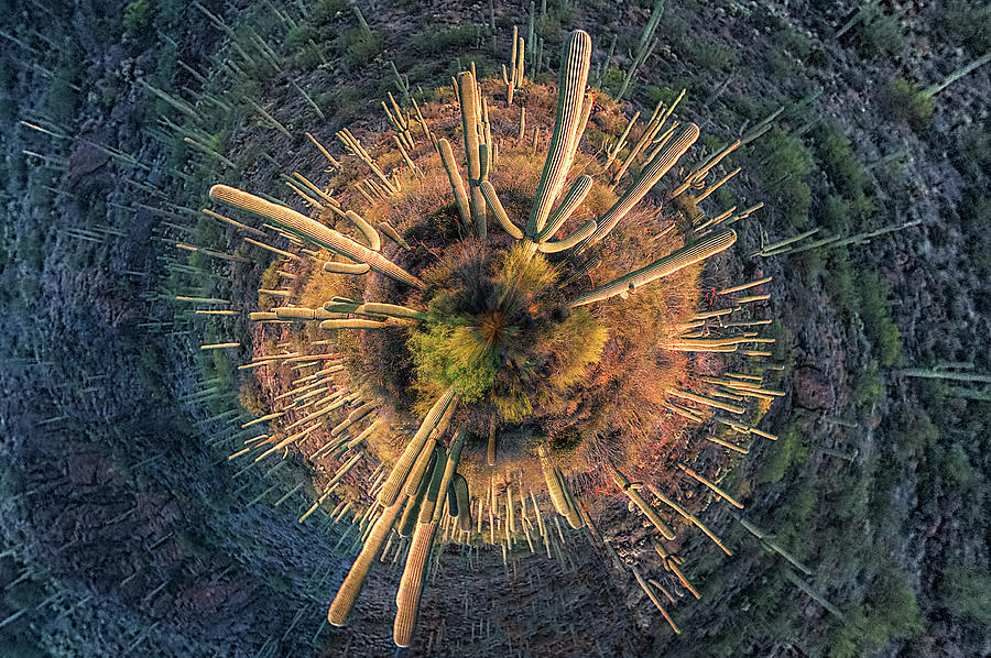 Desert Big Bang by Lynn Geoffroy Desert Big Bang by Lynn Geoffroy