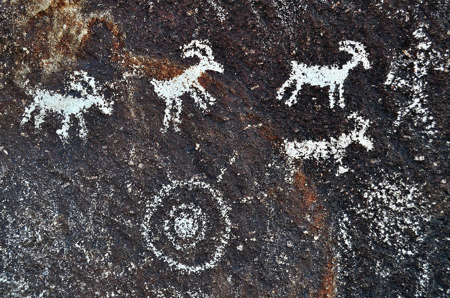 Desert Bighorn Sheep Petroglyphs Photograph by Kyle Hanson