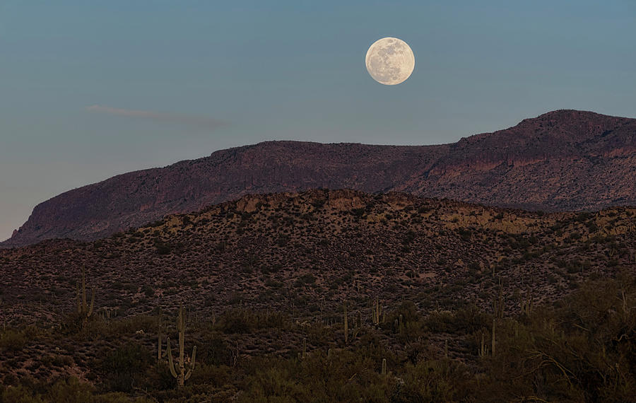 Desert Blue Moon  Photograph by Saija Lehtonen