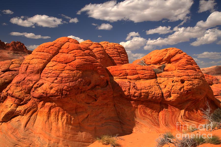Desert Brain Rocks Photograph by Adam Jewell