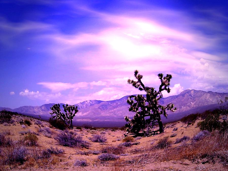 Desert Digital Art - Desert by JP by Jean Paul LeBlanc